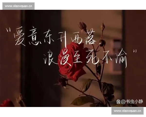 再见爱人:那些无言的告别与彼此心底深藏的温柔回忆